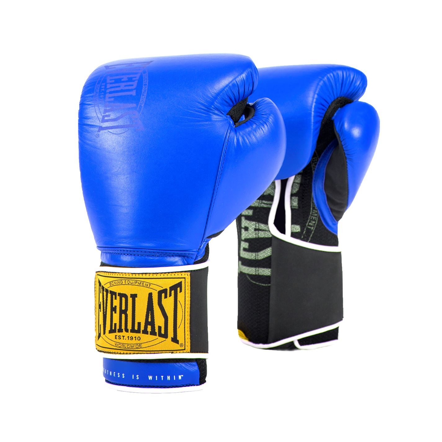 everlast boxing gloves 16 oz Everlast pro-style boxing gloves 12 oz.
